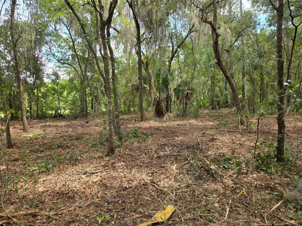 8903 SE 225TH DRIVE Hawthorne, FL 32640