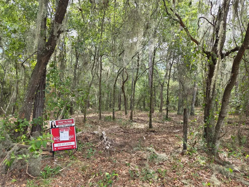 8903 SE 225TH DRIVE Hawthorne, FL 32640
