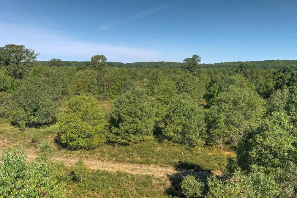 E 34 ROAD Haring Charter Township, MI 49601