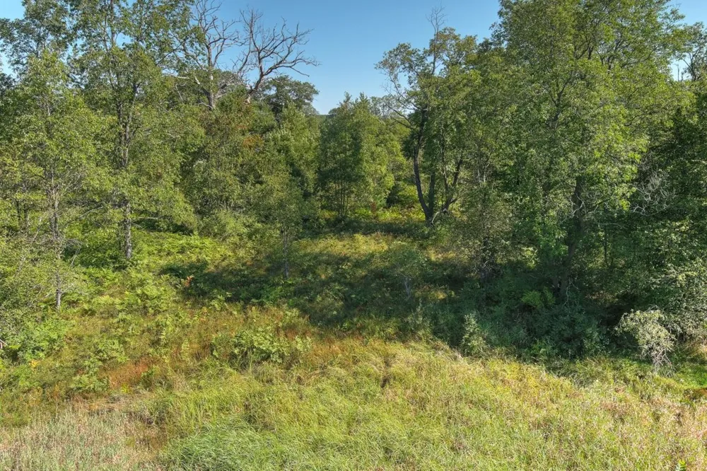 E 34 ROAD Haring Charter Township, MI 49601