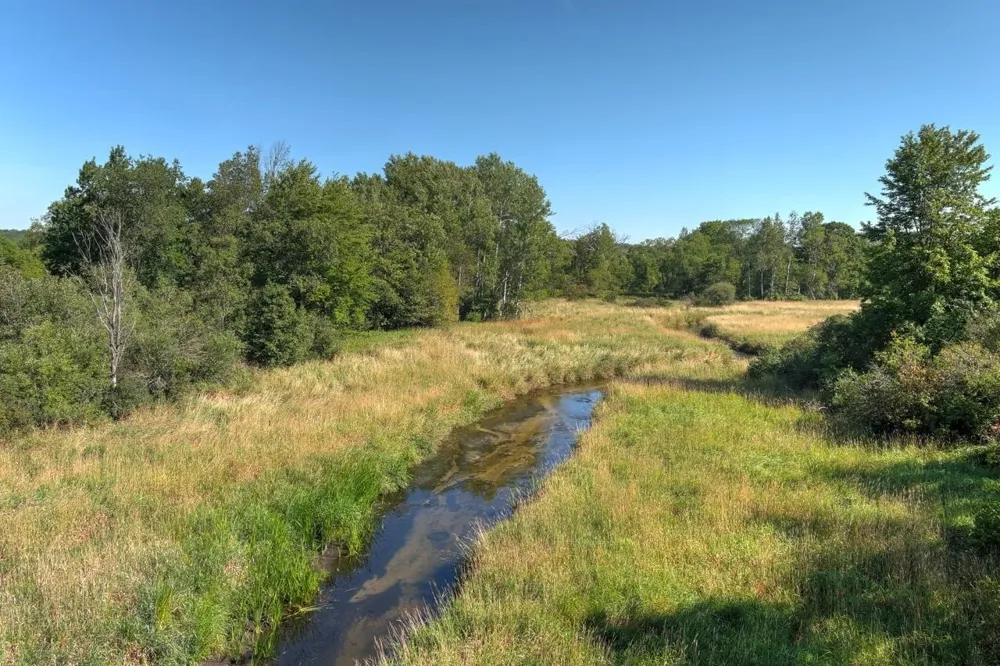 E 34 ROAD Haring Charter Township, MI 49601