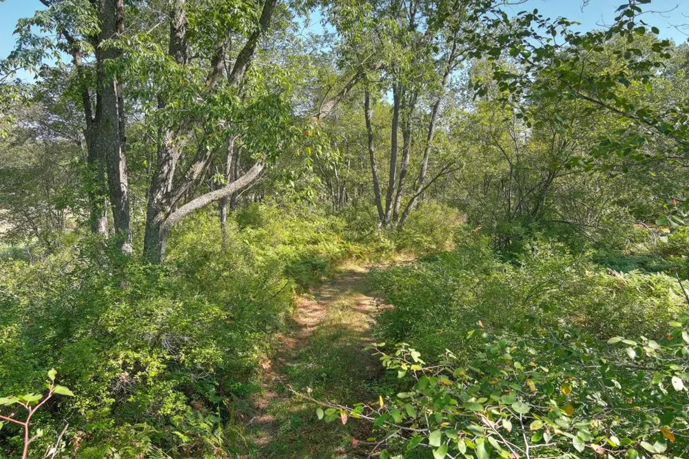 E 34 ROAD Haring Charter Township, MI 49601