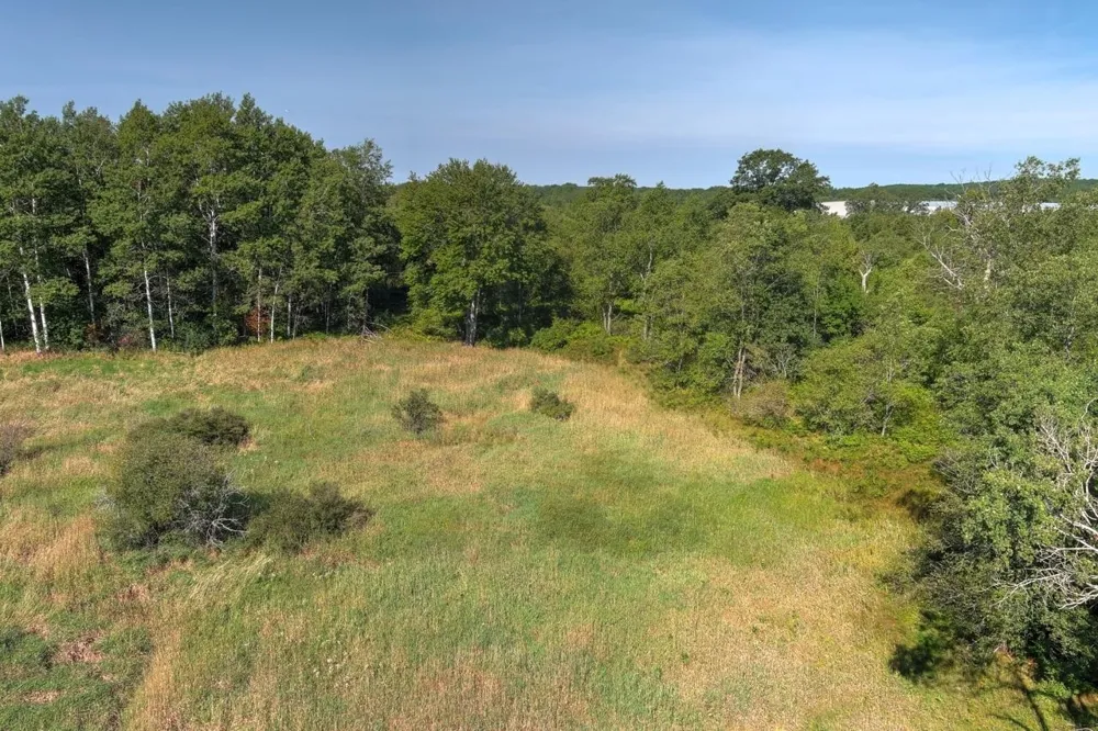 E 34 ROAD Haring Charter Township, MI 49601