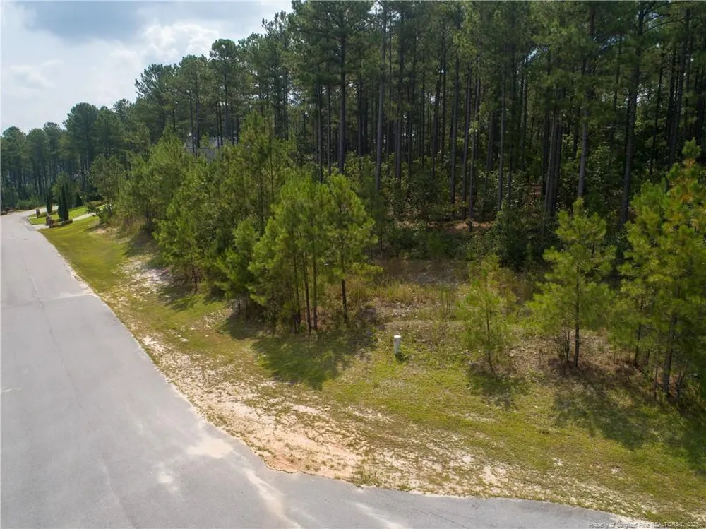 195 Broadlake (643) Lane Spring Lake, NC 28390