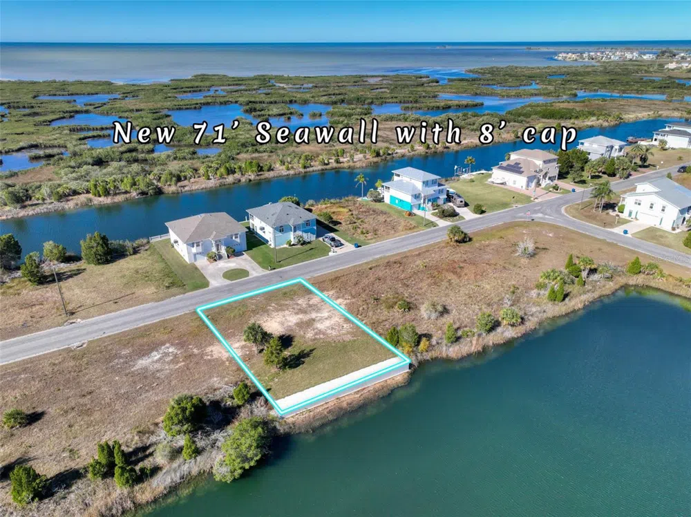 3266 LUGUSTRUM DRIVE Hernando Beach, FL 34607