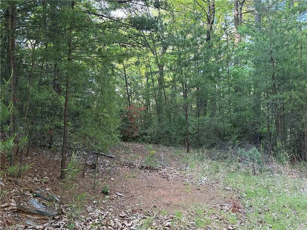 Lot 27 Wolf Pen Road Purlear, NC 28665