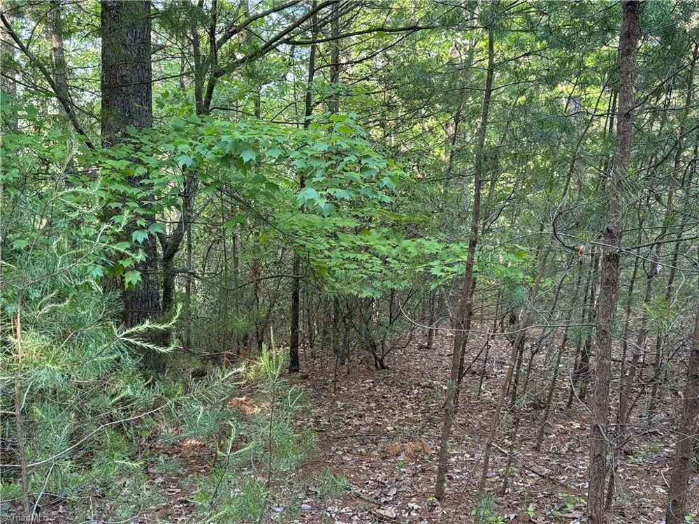 Lot 27 Wolf Pen Road Purlear, NC 28665