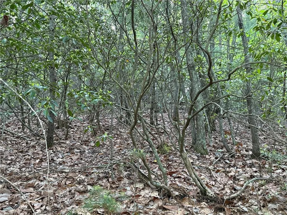Lot 27 Wolf Pen Road Purlear, NC 28665