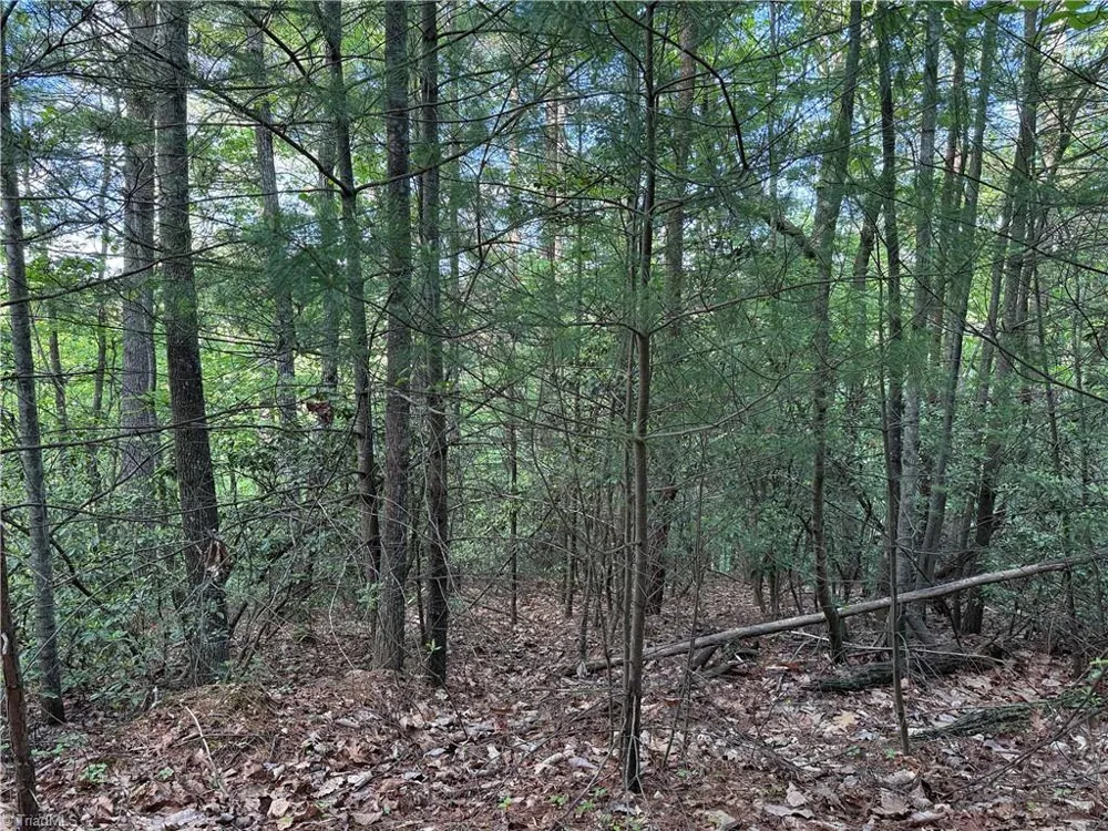 Lot 27 Wolf Pen Road Purlear, NC 28665