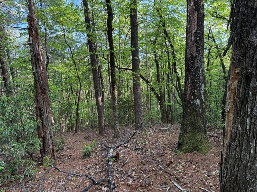 Lot 27 Wolf Pen Road Purlear, NC 28665