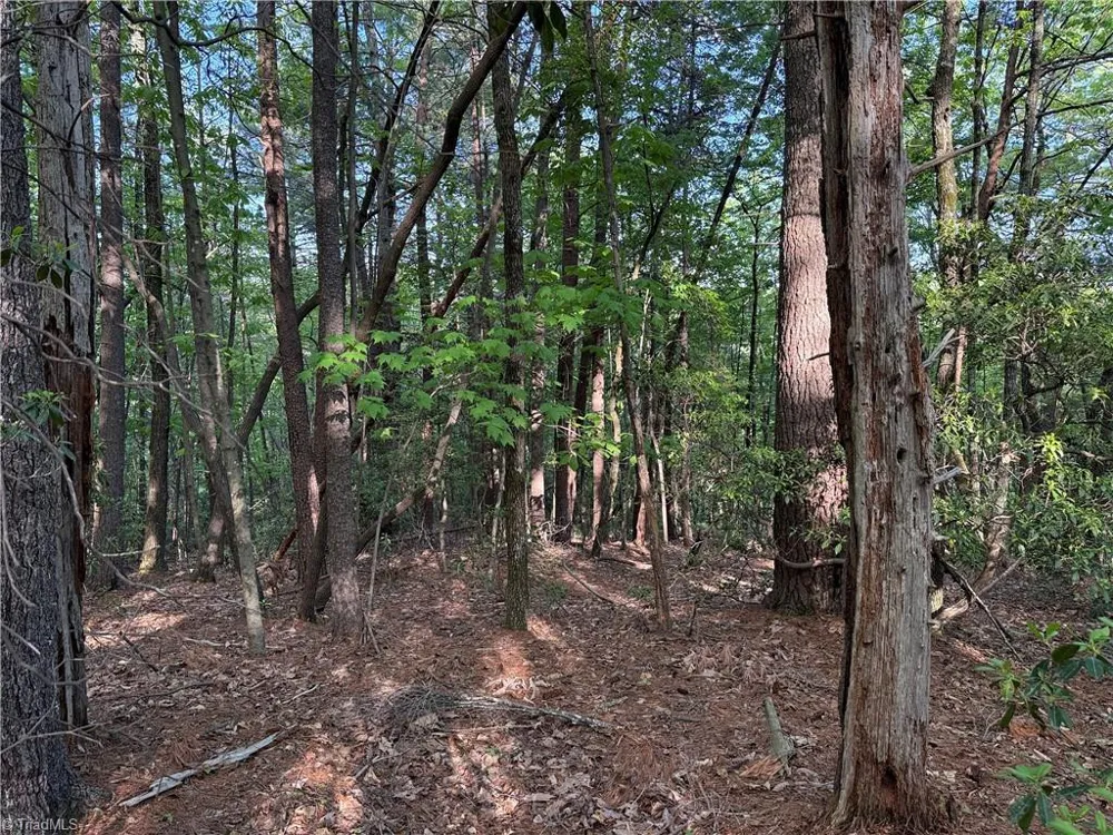Lot 27 Wolf Pen Road Purlear, NC 28665
