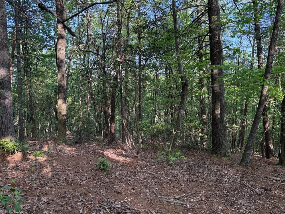 Lot 27 Wolf Pen Road Purlear, NC 28665