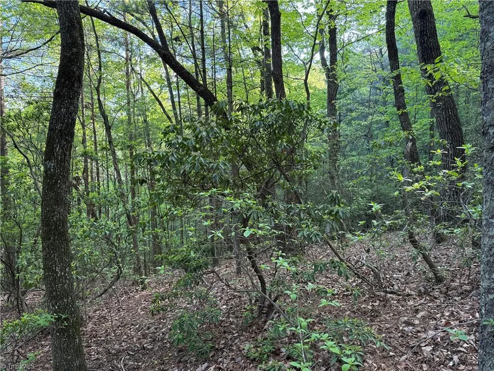 Lot 27 Wolf Pen Road Purlear, NC 28665