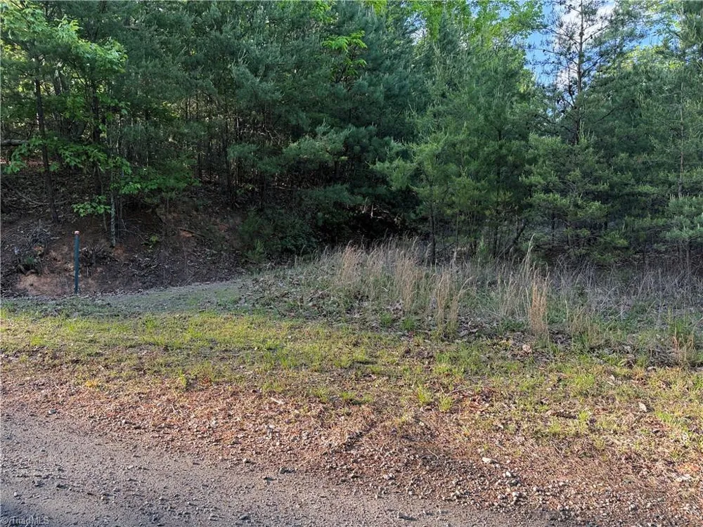 Lot 27 Wolf Pen Road Purlear, NC 28665