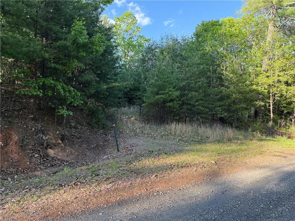 Lot 27 Wolf Pen Road Purlear, NC 28665