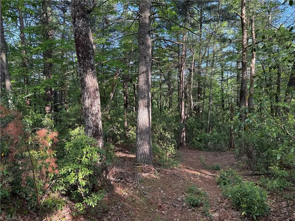 Lot 27 Wolf Pen Road Purlear, NC 28665