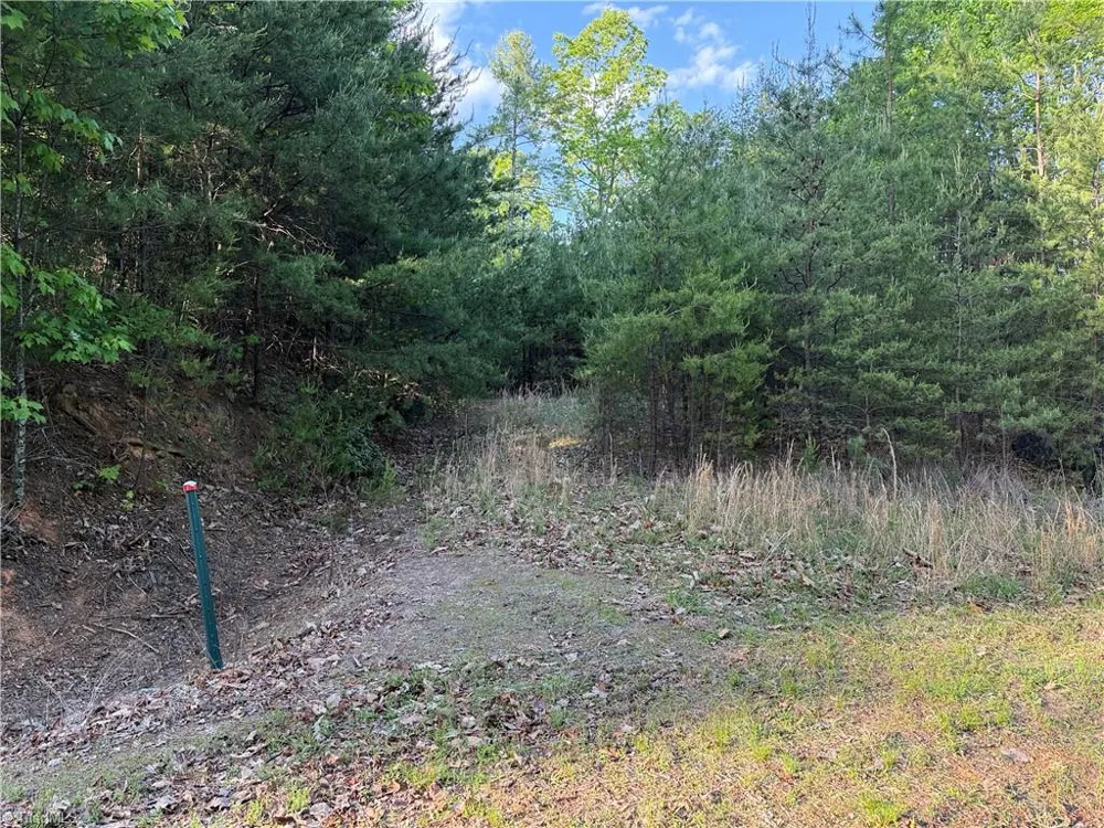 Lot 27 Wolf Pen Road Purlear, NC 28665