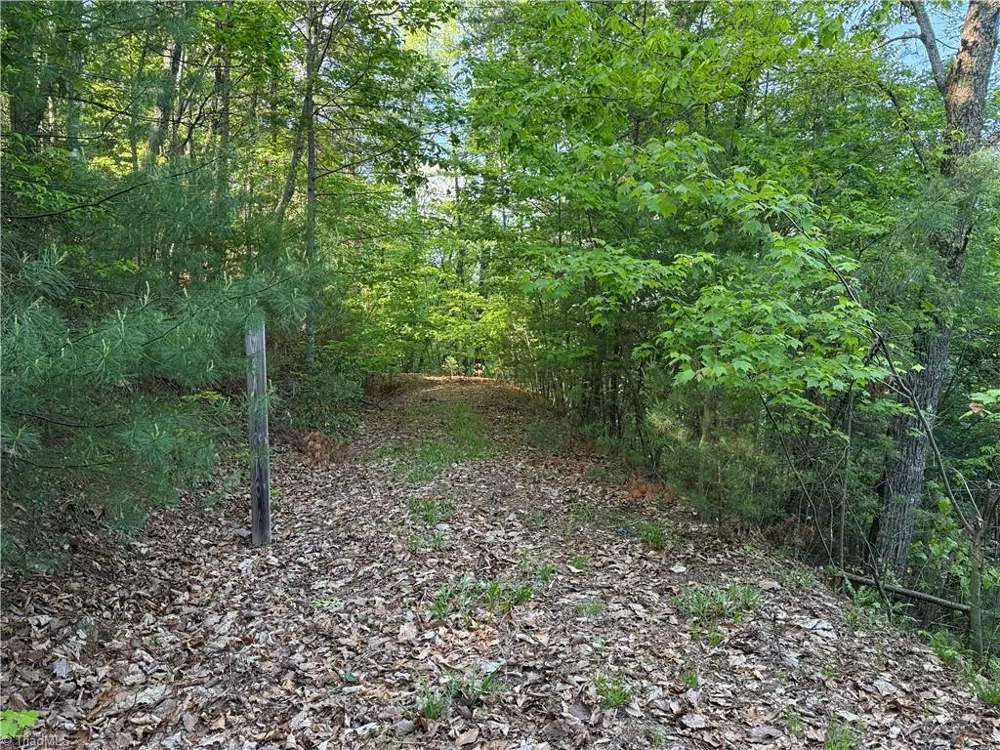 Lot 27 Wolf Pen Road Purlear, NC 28665