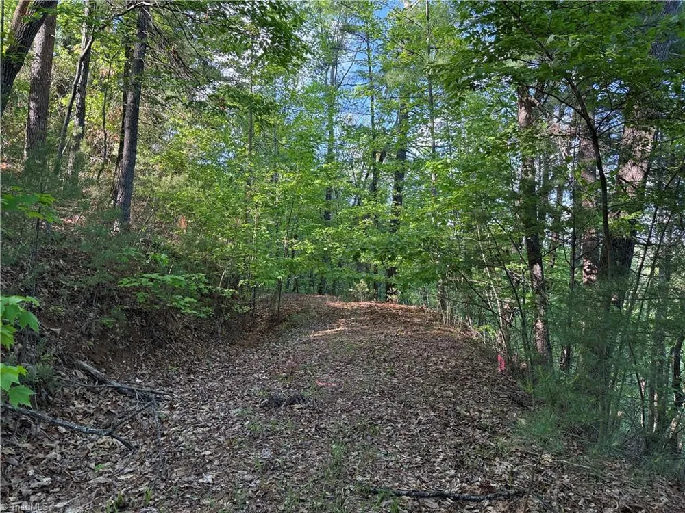 Lot 27 Wolf Pen Road Purlear, NC 28665