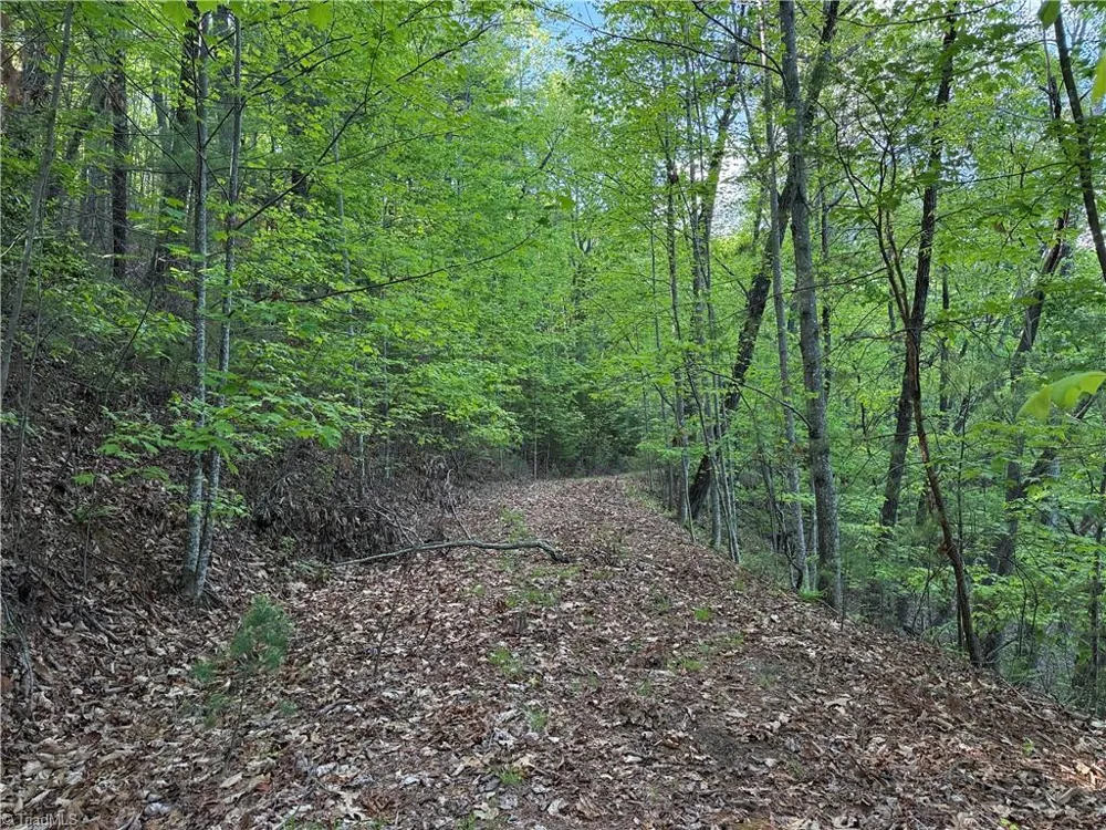 Lot 27 Wolf Pen Road Purlear, NC 28665