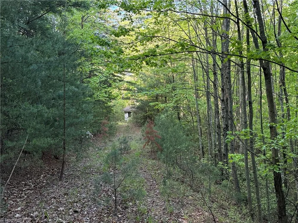 Lot 27 Wolf Pen Road Purlear, NC 28665