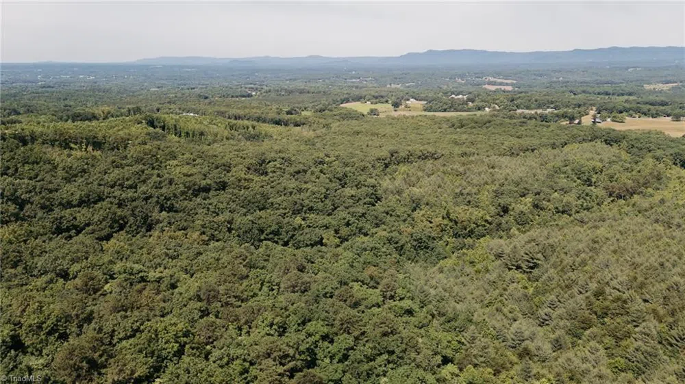 xx 44.93 Acres Stardust Trail Mount Airy, NC 27030