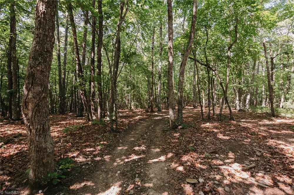 xx 44.93 Acres Stardust Trail Mount Airy, NC 27030