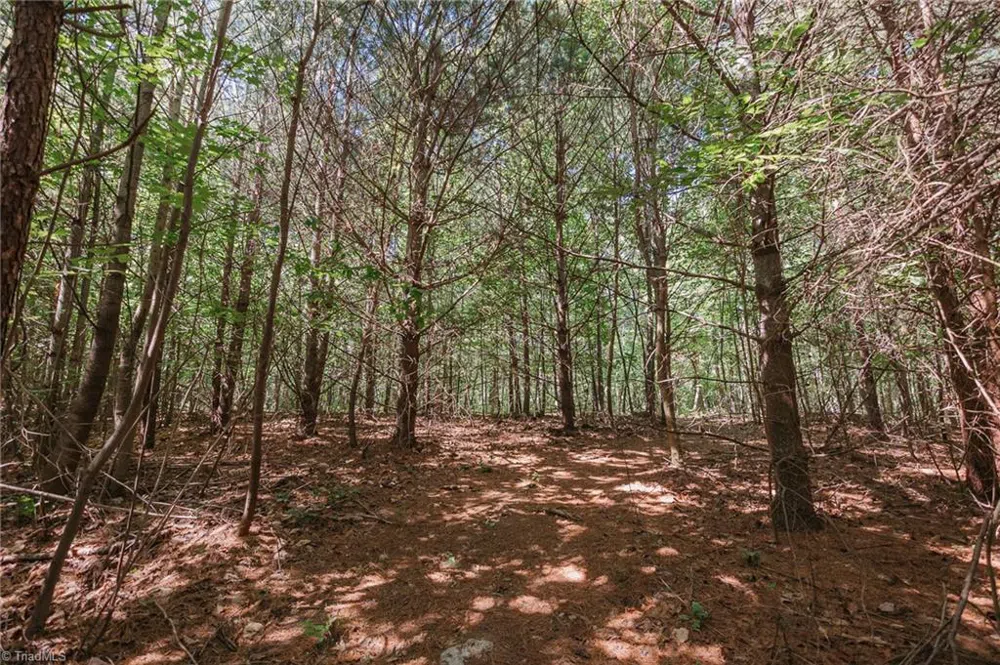 xx 44.93 Acres Stardust Trail Mount Airy, NC 27030