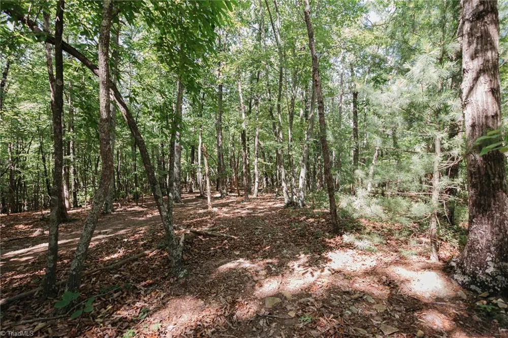 xx 44.93 Acres Stardust Trail Mount Airy, NC 27030