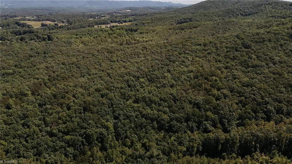 xx 44.93 Acres Stardust Trail Mount Airy, NC 27030
