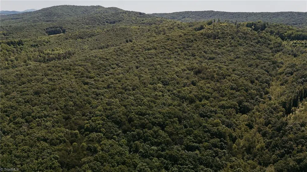 xx 44.93 Acres Stardust Trail Mount Airy, NC 27030