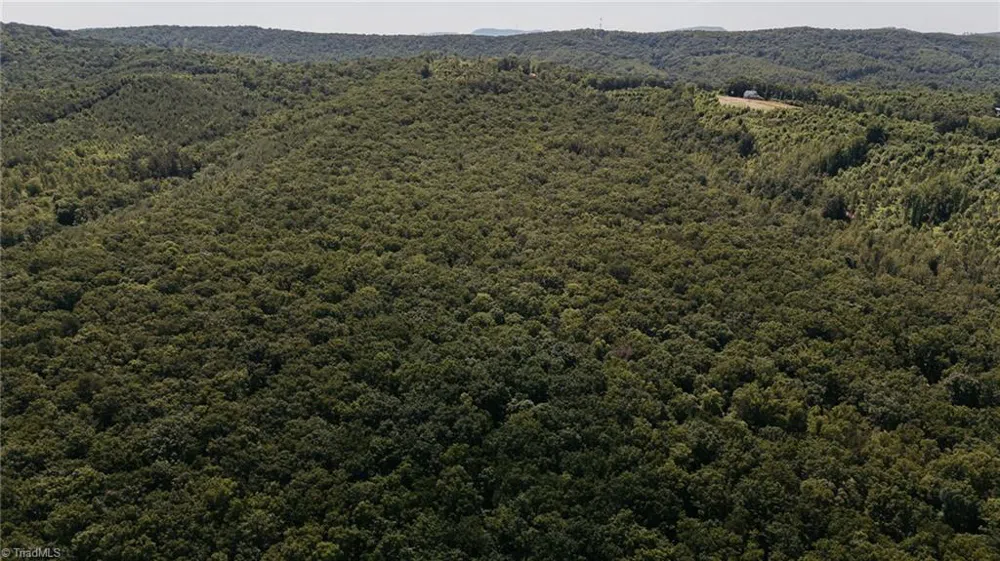 xx 44.93 Acres Stardust Trail Mount Airy, NC 27030