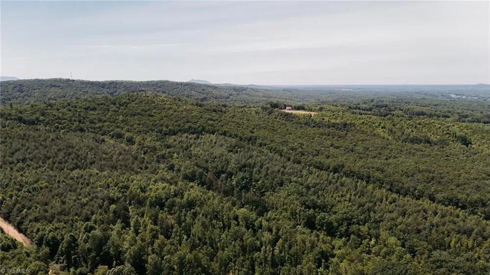 xx 44.93 Acres Stardust Trail Mount Airy, NC 27030
