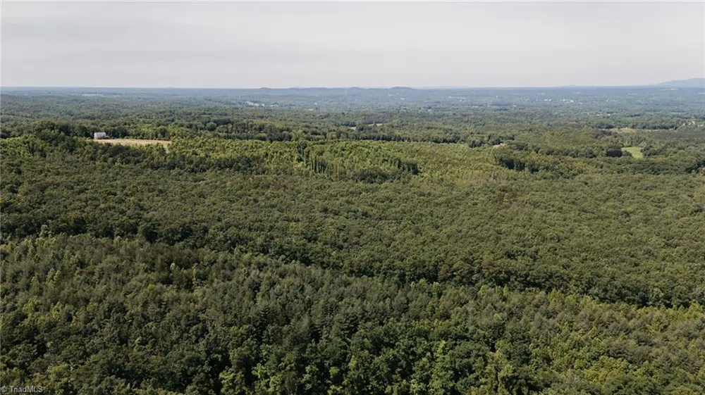 xx 44.93 Acres Stardust Trail Mount Airy, NC 27030