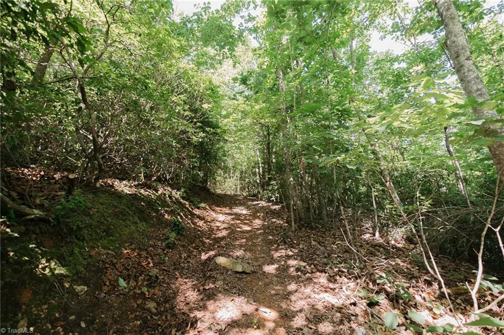 xx 44.93 Acres Stardust Trail Mount Airy, NC 27030