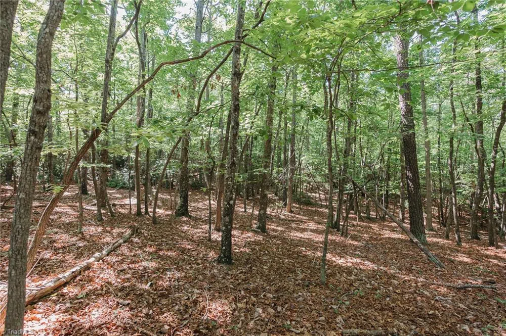 xx 44.93 Acres Stardust Trail Mount Airy, NC 27030