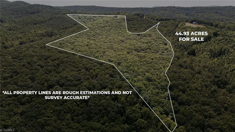 xx 44.93 Acres Stardust Trail Mount Airy, NC 27030