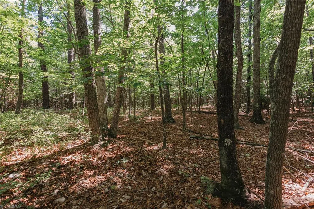 xx 44.93 Acres Stardust Trail Mount Airy, NC 27030