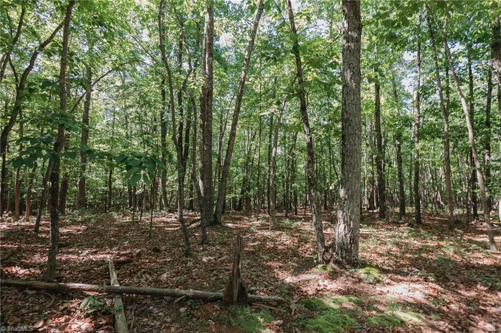xx 44.93 Acres Stardust Trail Mount Airy, NC 27030
