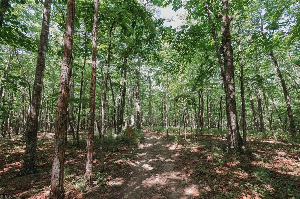 xx 44.93 Acres Stardust Trail Mount Airy, NC 27030