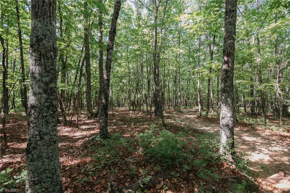 xx 44.93 Acres Stardust Trail Mount Airy, NC 27030