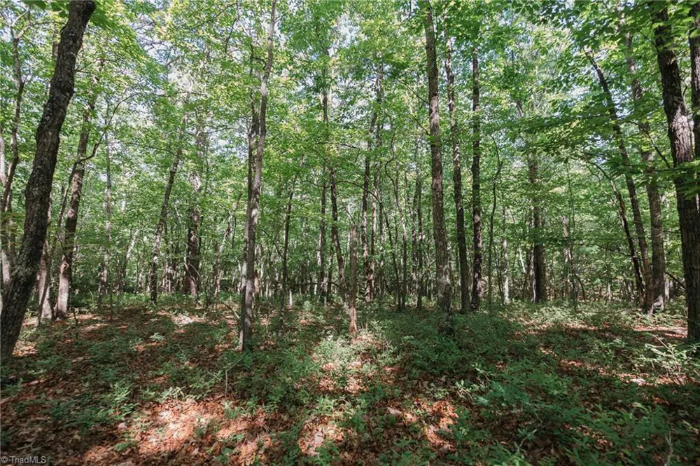 xx 44.93 Acres Stardust Trail Mount Airy, NC 27030