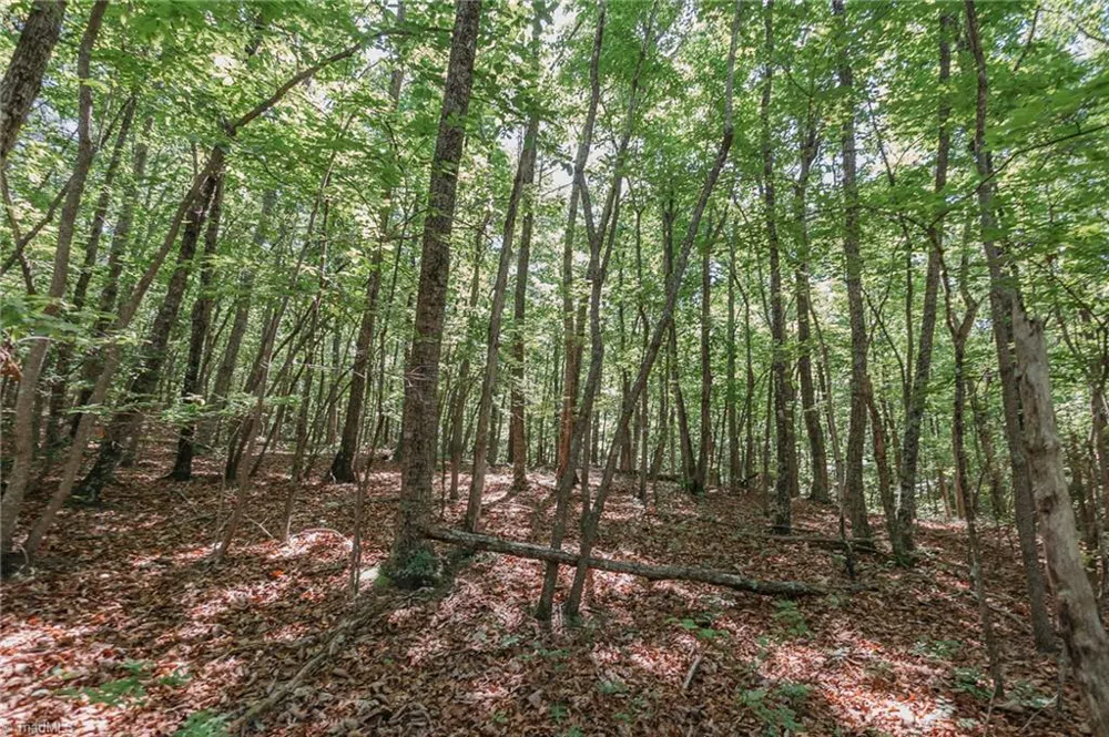 xx 44.93 Acres Stardust Trail Mount Airy, NC 27030
