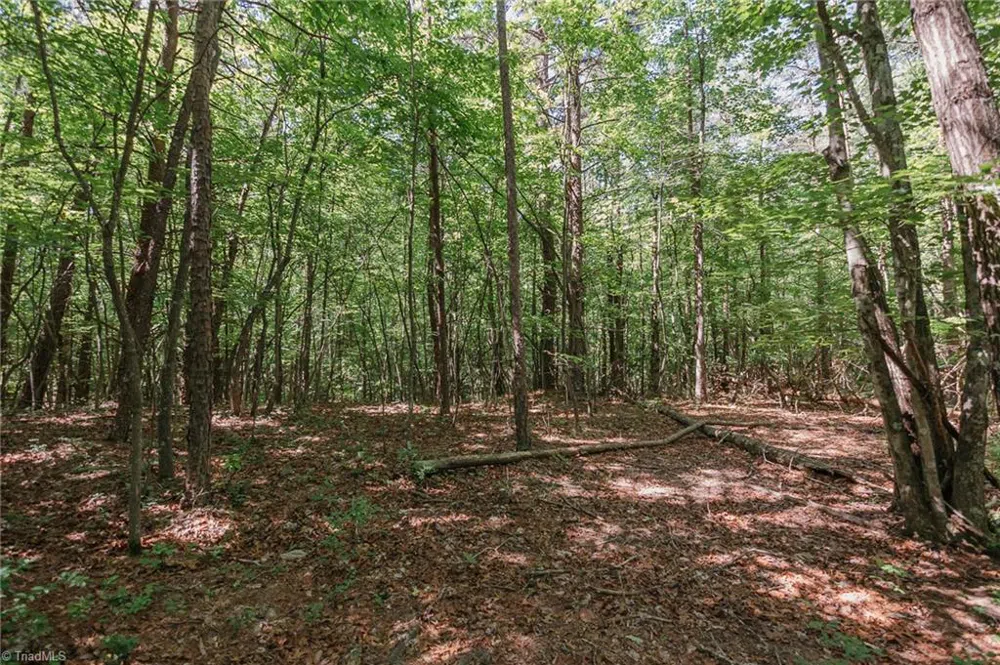 xx 44.93 Acres Stardust Trail Mount Airy, NC 27030