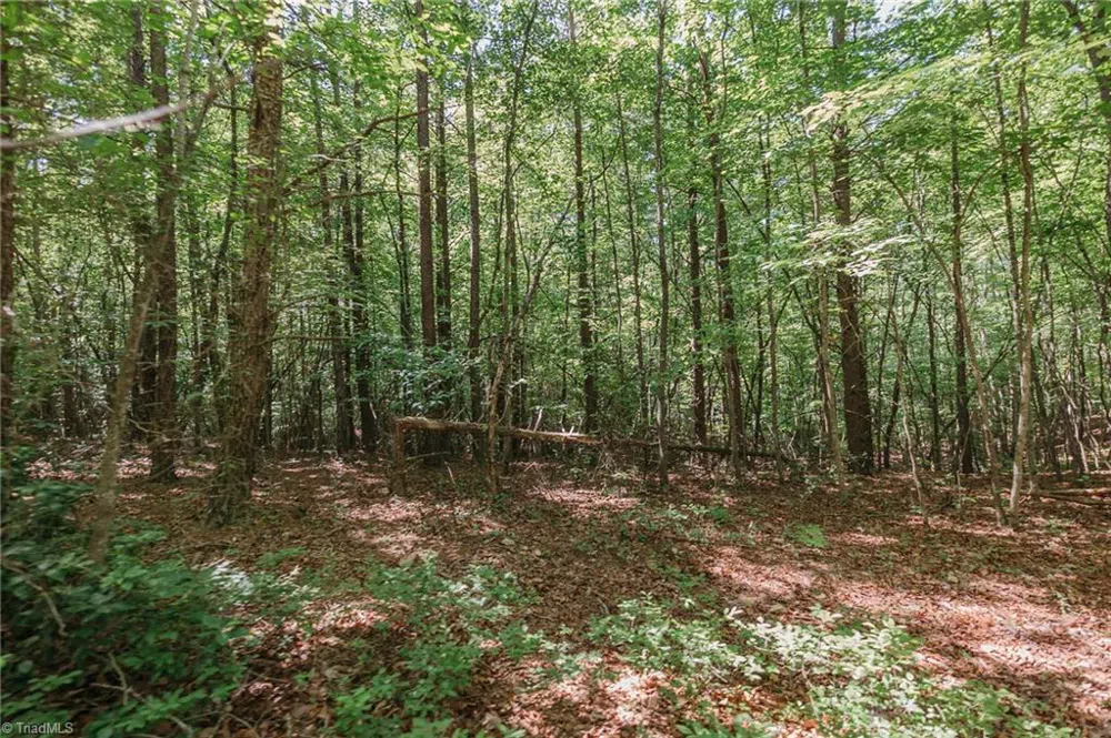 xx 44.93 Acres Stardust Trail Mount Airy, NC 27030