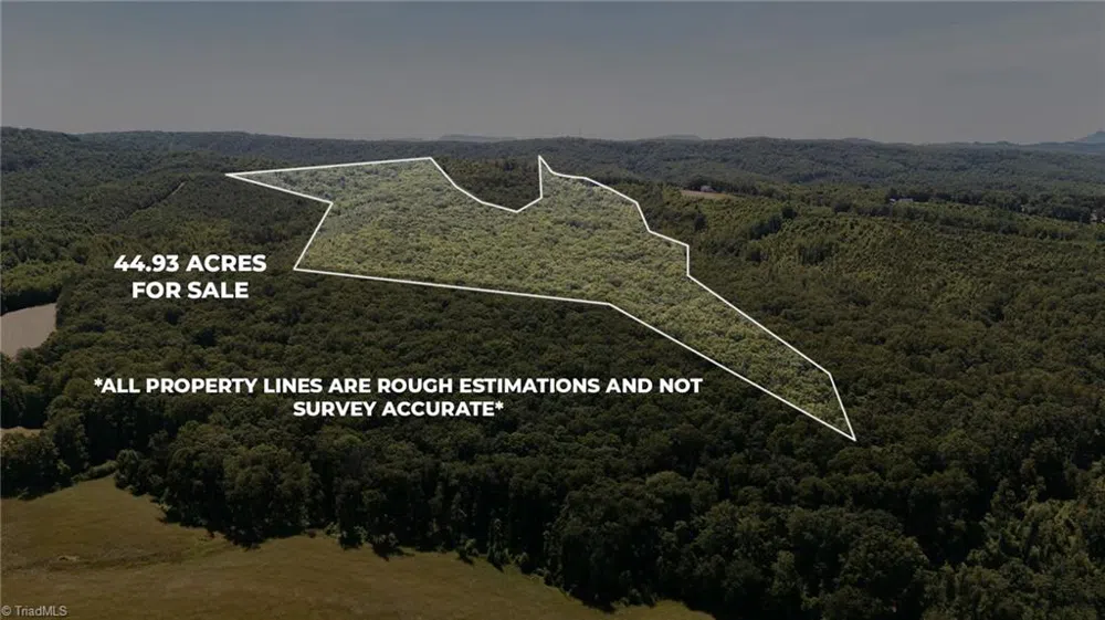 xx 44.93 Acres Stardust Trail Mount Airy, NC 27030