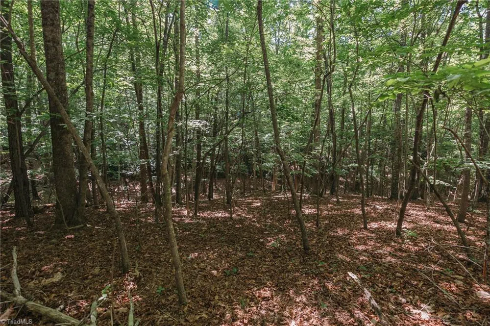 xx 44.93 Acres Stardust Trail Mount Airy, NC 27030