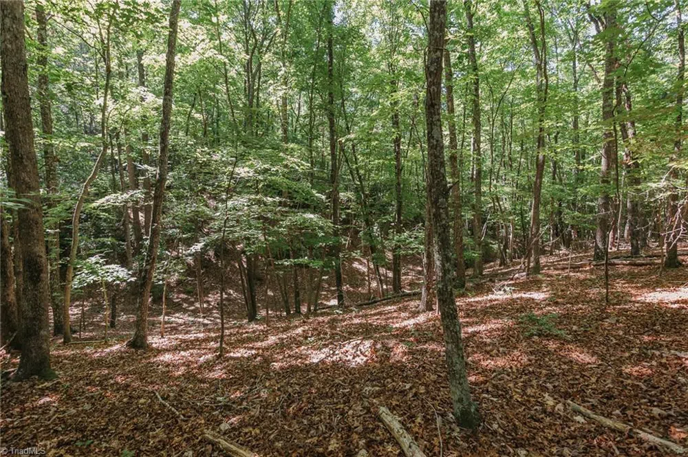 xx 44.93 Acres Stardust Trail Mount Airy, NC 27030