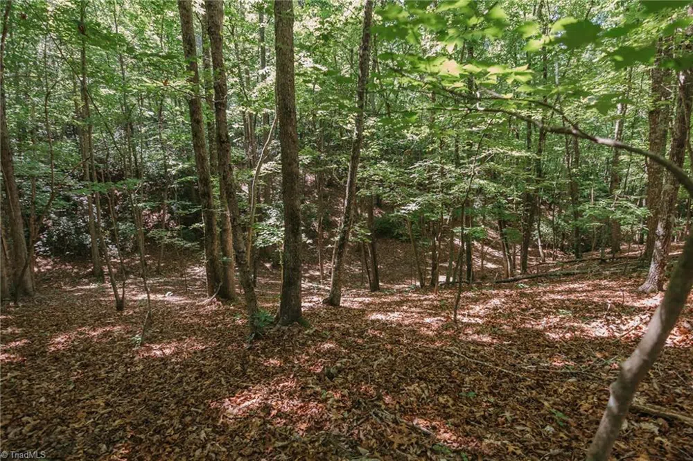 xx 44.93 Acres Stardust Trail Mount Airy, NC 27030