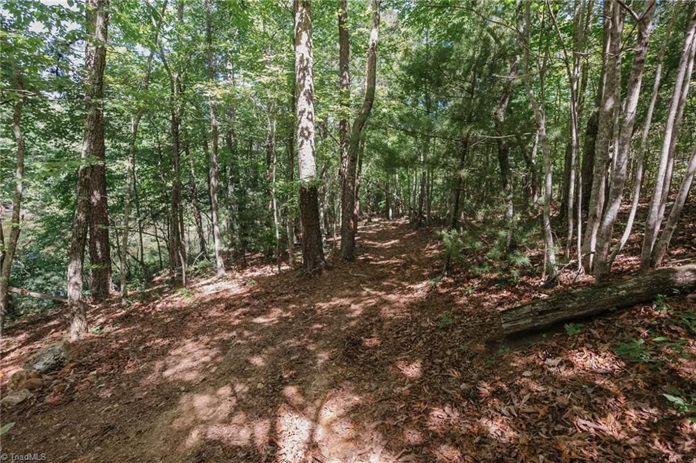 xx 44.93 Acres Stardust Trail Mount Airy, NC 27030
